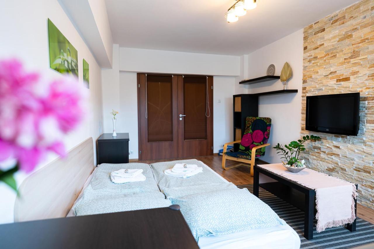 Apartmán Metropolitan Wildscape View Brašov Exteriér fotografie