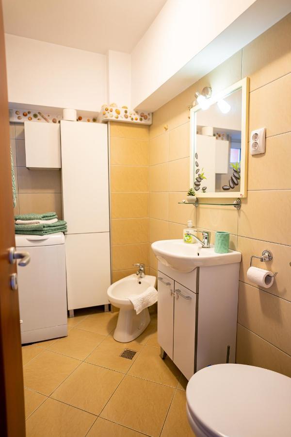Apartmán Metropolitan Wildscape View Brašov Exteriér fotografie
